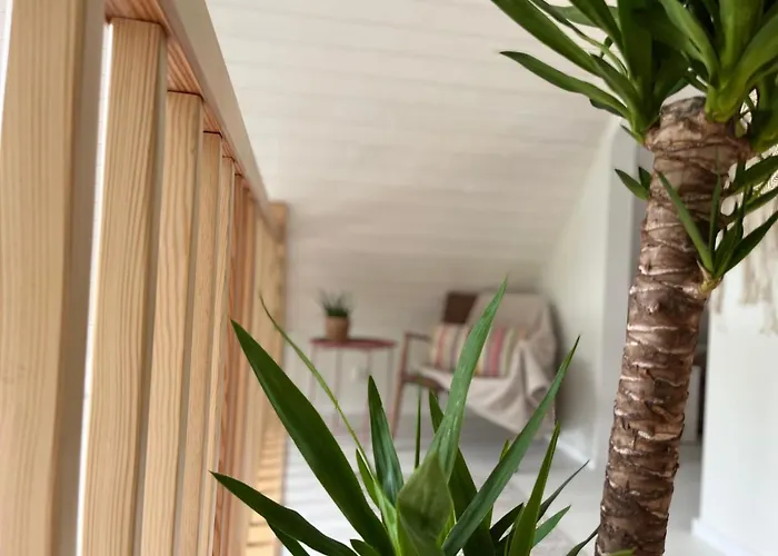 Cosy - Na Kaszubach Z Sauna, Balia I Basenem * Stara Sikorska Huta